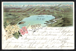 Lithographie Lindau / Bodensee, Abbild Von Lindau Und Umgebung, Hörbranz, Löschau, Kloster Riedenburg  - Lindau A. Bodensee