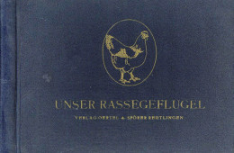 Landwirtschaft Buch Unser Rassegeflügel, über 50 Farbige Aquarelle/Zeichnungen Versch. Künstler Von Hühner Aller Art U.a - Otros & Sin Clasificación