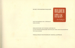 Landwirtschaft Buch Zucht- Und Rasskundlicher Bilder-Atlas Des Geflügels Nach Aquarellen Von Witzmann, C. Und Zurth, E., - Otros & Sin Clasificación