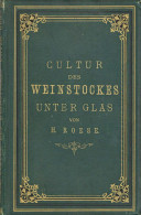 Wein Buch Cultur Des Weinstockes Unter Glas Mit Besonderer Berücksichtigung Des Klimas Von Norddeutschland Von Roese, H. - Other & Unclassified