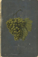 Wein Buch Die Praxis Der Weinbereitung Handbuch Für Weinproduzenten, Kellermeister Und Weinhändler Von Bersch, Josef 188 - Other & Unclassified