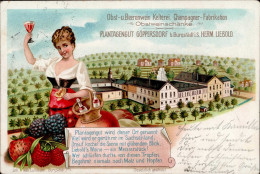 Wein Göpersdorf Obst U. Beerenwein Kelterei Liebold, Herm. Werbe-AK I-II (kl. Eckbug) Vigne - Andere & Zonder Classificatie