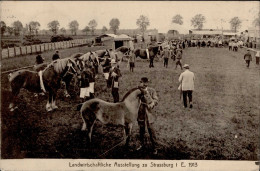 Ausstellung Strassburg I. E. Landwirtschaftliche Ausstellung 1913 I-II Expo - Expositions