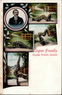 Zirkus Franelly, Signor Original Eidechs-Imitator II (Ränder Teil Abgestossen, Eckbug) - Circus