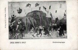 Zirkus Barnum Und Bailey Elephantengruppe I-II (fleckig) - Cirque