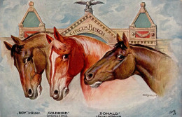 Zirkus Busch Pferde Sign. Kiesslich I-II - Zirkus