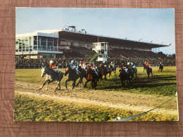 CAGNES SUR MER L'Hippodrome De La Cote D'Azur - Cagnes-sur-Mer