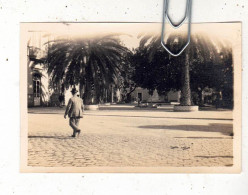 PHOTO LIEU LAS PALMAS 1925 UNE VUE - Luoghi