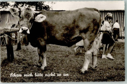 39627405 - Schau Mich Nicht So An ... - Cows
