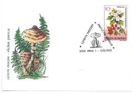 COV 997 - 3155 MUSHROOMS, Romania - Cover - Used - 1993 - Lettres & Documents