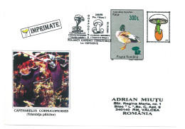 COV 997 - 3165 MUSHROOMS, Romania - Cover - Used - 2003 - Cartas & Documentos