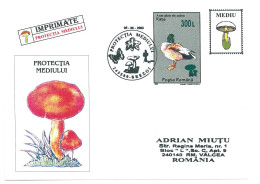 COV 997 - 3170 MUSHROOMS, Romania - Cover - Used - 2003 - Cartas & Documentos