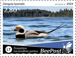 BeePost 2024 Ducks. (LT24-19) PRIVATE POST ISSUE - Entenvögel