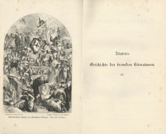 Buch Lot Mit 2 Büchern Illustrierte Geschichte Der Fremden Literaturen Band I Ud II Von Leixner, Otto 1883, Verlag Spame - Oude Boeken