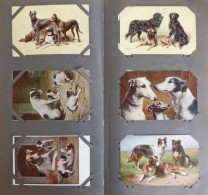 Hund 348 Ansichtskarten In Einem Grossen Und 2 Kl. Alben, Karten Zwischen 1900-1930 I-II Chien - Dogs
