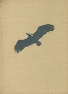 Tiere Buch Die Letzten Adler Von Berg, Bengt 1936, Verlag Reimer Berlin, 35 Bildtafeln Auf 164 S. II - Autres & Non Classés