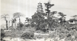 VIET NAM.   ANCIENNE PADOGE LA DAME SACREE.  CARTE ECRITE - Vietnam