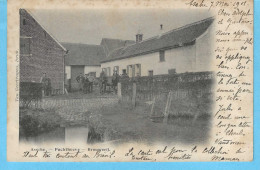 Asse-Assche-1901-Pachthoeve-Brouwerij-Brasserie-Attelage De Chevaux-animée-Uit.Drukkerij-Van Geertruyen-Assche-Très Rare - Asse