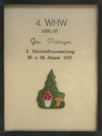 WHW Gau Türingen Gaustraßensammlung Januar 1937 Abzeichen Im Rahmen 9x12 Cm I-II - Weltkrieg 1939-45