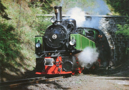 HSB Schmalspurdampflok 995 901 (ex NWE 12),bei Der Ausfahrt Aus Dem Tunnel Tumkuhlenkopf, Ungelaufen - Trains