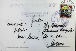 Italy - Military - Army Post Office In Somalia - ONU - ITALFOR - IBIS - S6623 - 1991-00: Storia Postale