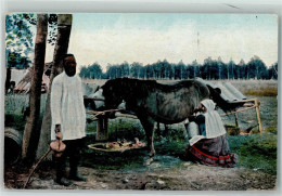 39151605 - Das Melken Der Stuten  Volkstypen In Russland  Landwirtschaft - Paarden