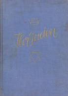 Judaika WK II Buch Hofjuden Von Streicher, Julius 1939, Verlag Der Stürmer Nürnberg, 547 S. II Judaisme - Judaísmo
