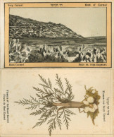 Judaika Kl. Album Mit 12 Blumen Und Ansichten Aus Dem HeiligenLande 1909 II Judaisme - Judaika