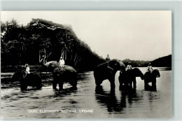 39281405 - Elefanten Baden Ceylon Plate Nr,28 - Elephants