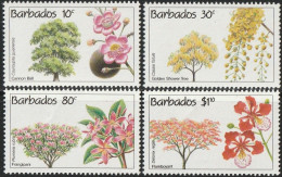 THEMATIC FLORA: FLOWERING TREES. CONSERVATION. CANNON BALL, SHOWER TREE, FRANGIPANI, FLAMBOYANT    -    BARBADOS - Arbres
