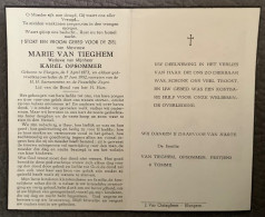 Marie Van Tieghem - Elsegem - 1873 / 1952 - Devotieprenten