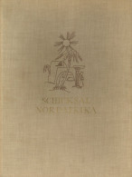 Buch Kolonien Schicksal Nordafrika Vom Verband Ehemaliger Angehöriger Deutsches Afrika-Korps E.V. 1954 Und Geleitwort Vo - Ehemalige Dt. Kolonien