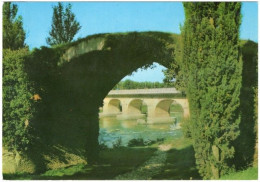 31. Gf. AUTERIVE. Vestiges Du Pont Romain. 10658 - Otros & Sin Clasificación