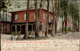 Bad Schwartau (2407) Hotel Kronprinz Inh. Piquardt, Johs. Otto 1902 I-II - Other & Unclassified