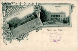 Mölln (2410) Gasthaus Zum Schützenhof 1902 I-II - Sonstige & Ohne Zuordnung