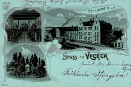 Vechta (2848) Mondschein-Karte 1903 I- - Sonstige & Ohne Zuordnung