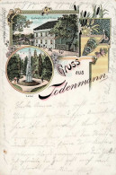 Todenmann (3262) Gasthaus Reese 1902 I-II - Other & Unclassified