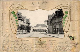 Schöningen (3338) Marktplatz 1904 I - Sonstige & Ohne Zuordnung
