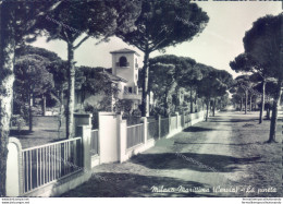 Ag486 Cartolina Milano Marittima La Pineta Provincia Di Ravenna - Ravenna