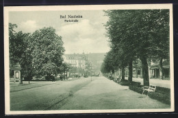 AK Bad-Nauheim, Parkstrasse Mit Passanten  - Bad Nauheim