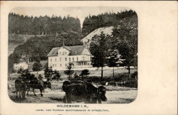 Wildemann (3391) Hotel Schützenhaus 1916 I- - Altri & Non Classificati