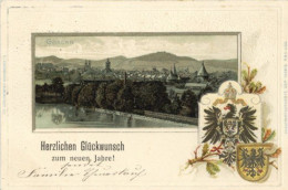 Goslar (3380) Präge-Karte 1903 I - Goslar