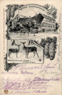 St. Andreasberg (3424) Hotel Schützenhof Hirschkuh Mieke 1914 I-II - Bad Sachsa