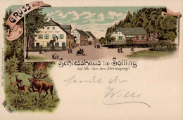 Neuhaus Solling (3450) Schiesshaus Gasthaus Zum Grünen Jäger 1899 I- - Altri & Non Classificati