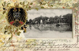 Soest (4770) Präge-Karte Gasthaus Zum Schützenhof 1903 I-II - Other & Unclassified