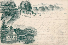 Preußisch Oldendorf (4994) Forsthaus Limberg 1901 I-II (fleckig) - Altri & Non Classificati