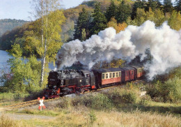 HSB Schmalspurdampflok 99 7236,Selketalbahn,am Mühlteich Bei Güntersberge,  Ungelaufen - Trains