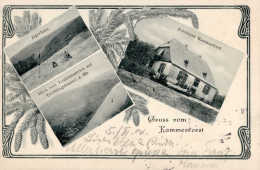 Kammerforst (5411) Forsthaus Kammerforst 1904 I - Sonstige & Ohne Zuordnung