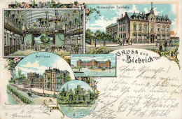 Biebrich (5429) Litho Schloss Mossburg Turnhalle 1904 I-II - Altri & Non Classificati