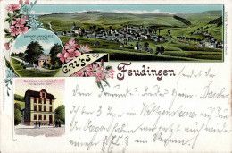 Feudingen (5928) Gasthaus Zum Bahnhof Eisenbahn Bahnhof 1901 I Chemin De Fer - Other & Unclassified